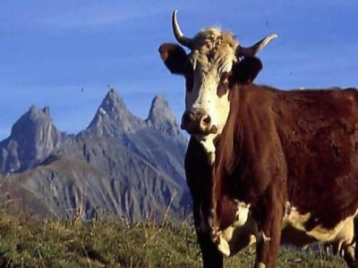 Apartment Wohnung in Saint-Sorlin nahe Skigebiet - Environment photo 24