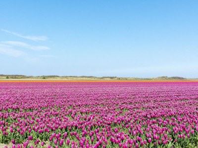 Holiday house Studio home with balcony - Outdoor photo 11