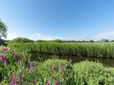 Villa Vacation villa with beautyful garden - Outdoor photo 37