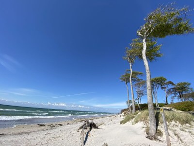 Holiday apartment Gruzdz - Environment photo 29