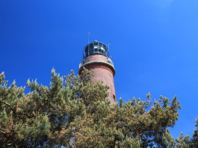 Holiday apartment Gruzdz - Environment photo 31