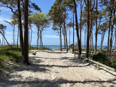 Holiday apartment Gruzdz - Environment photo 35