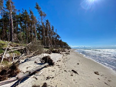 Holiday apartment Gruzdz - Environment photo 36