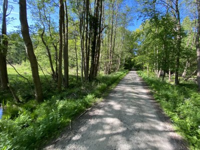 Holiday apartment Gruzdz - Environment photo 40