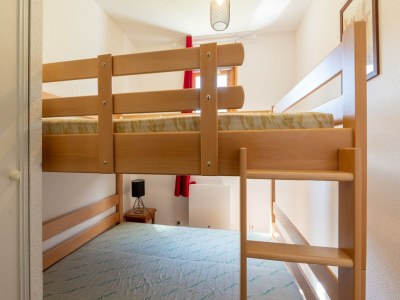 Apartment Apartment in France near Ski Resort & Center - Features photo 6