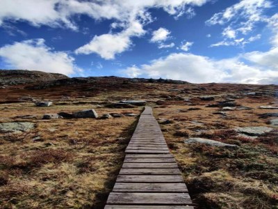 Apartment Apartment in France near Ski Resort & Center - Environment photo 30