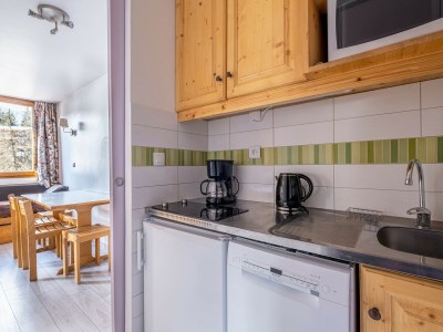 Holiday house Studio in France with Ski Slope Access - Features photo 9