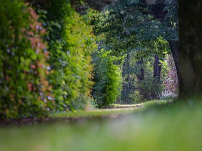 Holiday house Studio in France with Ski Slope Access - Environment photo 33