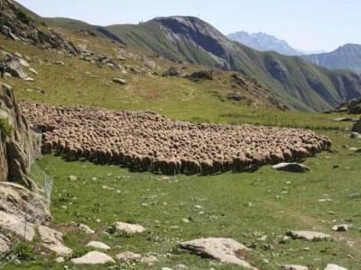 Apartment Apartment in France with Mountain Views & Pool - Environment photo 28