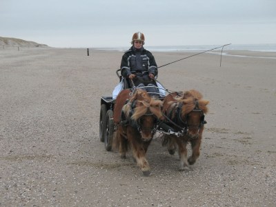 Holiday house 't Rûge Landje - Environment photo 15