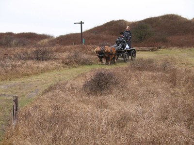 Holiday house 't Rûge Landje - Environment photo 16