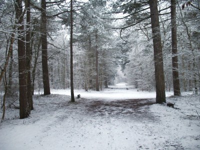 Holiday house 't Rûge Landje - Environment photo 19