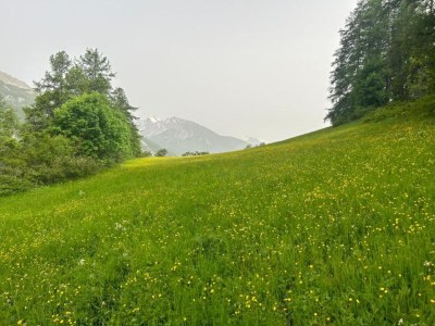 Apartment Studio in den Alpen mit Pool nahe Skigebiet - Environment photo 26