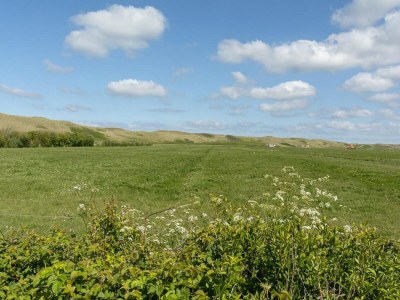 Bungalow Cozy bungalow with garden - Outdoor photo 18