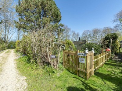 Bungalow Stylish bungalow with garden - Outdoor photo 12