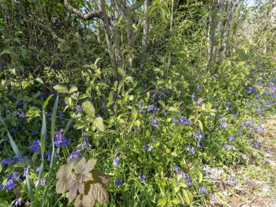 Bungalow Stylish bungalow with garden - Outdoor photo 17