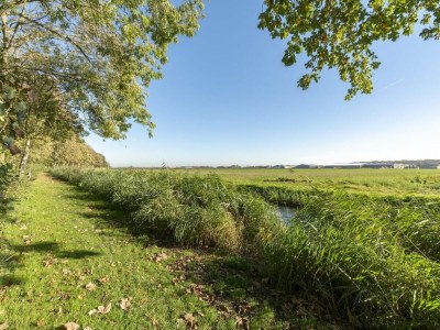 Bungalow Holiday bungalow at Duinland park - Outdoor photo 19