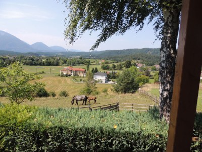 Holiday house Zak - Outdoor photo 9