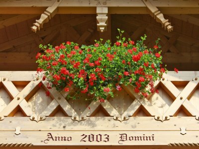 Holiday apartment Zugspitz im Ferienhaus Grasegger - Outdoor photo 7