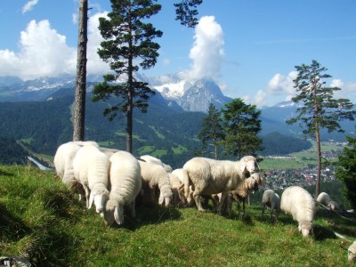 Holiday apartment Zugspitz im Ferienhaus Grasegger - Environment photo 21