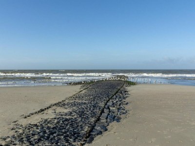 Apartment Cozy apartment near the sea - Outdoor photo 16