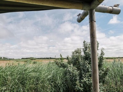 Holiday house Beach lodge with garden - Outdoor photo 11