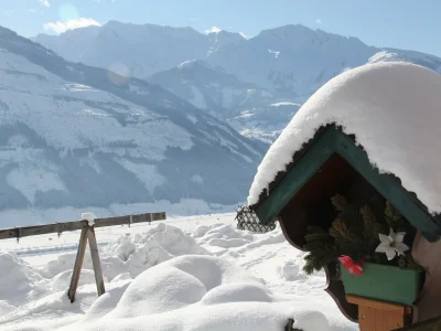 Holiday apartment Sunny West - Environment photo 20