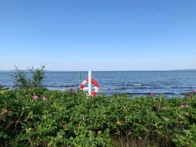 Holiday house 5 star holiday home in Børkop - Outdoor photo 27