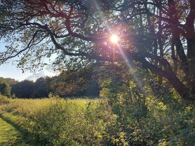 Holiday house Ruhiger Hüttenurlaub in Ebeltoft - Outdoor photo 9