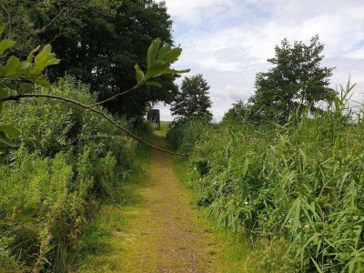 Holiday house Ruhiger Hüttenurlaub in Ebeltoft - Outdoor photo 10