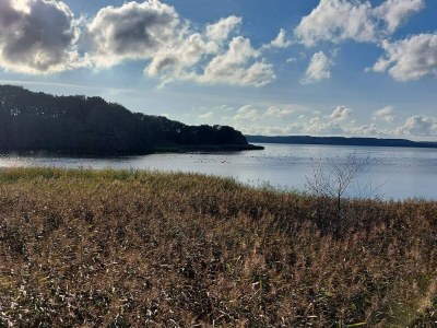 Holiday house Ruhiger Hüttenurlaub in Ebeltoft - Outdoor photo 16