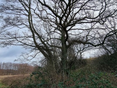 Holiday house Ruhiger Hüttenurlaub in Ebeltoft - Outdoor photo 26