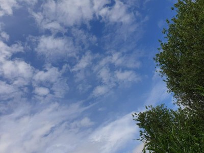 Holiday house Ruhiger Hüttenurlaub in Ebeltoft - Outdoor photo 27