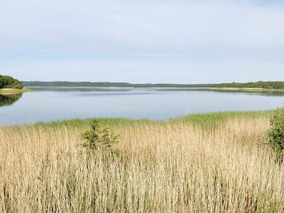 Holiday house Ruhiger Hüttenurlaub in Ebeltoft - Outdoor photo 31