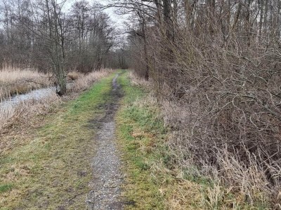 Holiday house Ruhiger Hüttenurlaub in Ebeltoft - Outdoor photo 32