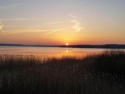 Holiday house Ruhiger Hüttenurlaub in Ebeltoft - Outdoor photo 34