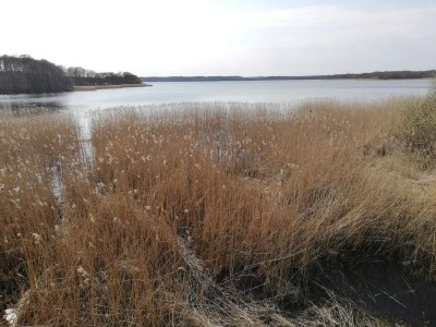 Holiday house Ruhiger Hüttenurlaub in Ebeltoft - Outdoor photo 35