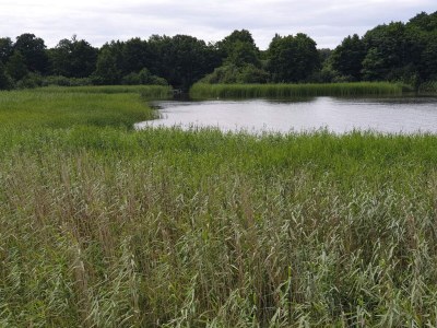 Holiday house Ruhiger Hüttenurlaub in Ebeltoft - Outdoor photo 41