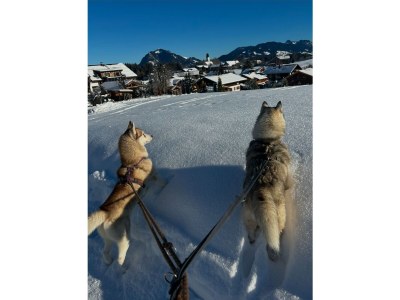 Cottage Landhaus Thanner - Outdoor photo 9