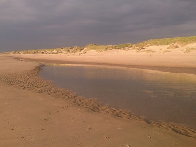 Bungalow Bosrand - Ruyslaan 71 - Environment photo 22