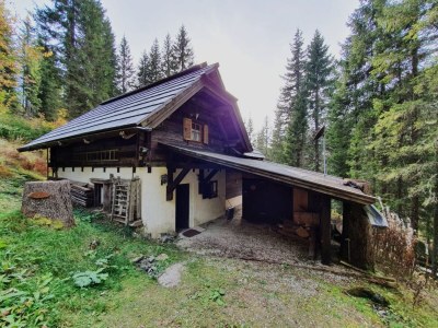 Apartment Idyllic cabin with sauna - Outdoor photo 9