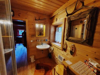 Apartment Idyllic cabin with sauna - Features photo 13