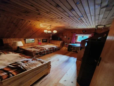 Apartment Idyllic cabin with sauna - Features photo 19