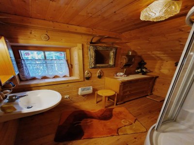 Apartment Idyllic cabin with sauna - Features photo 20