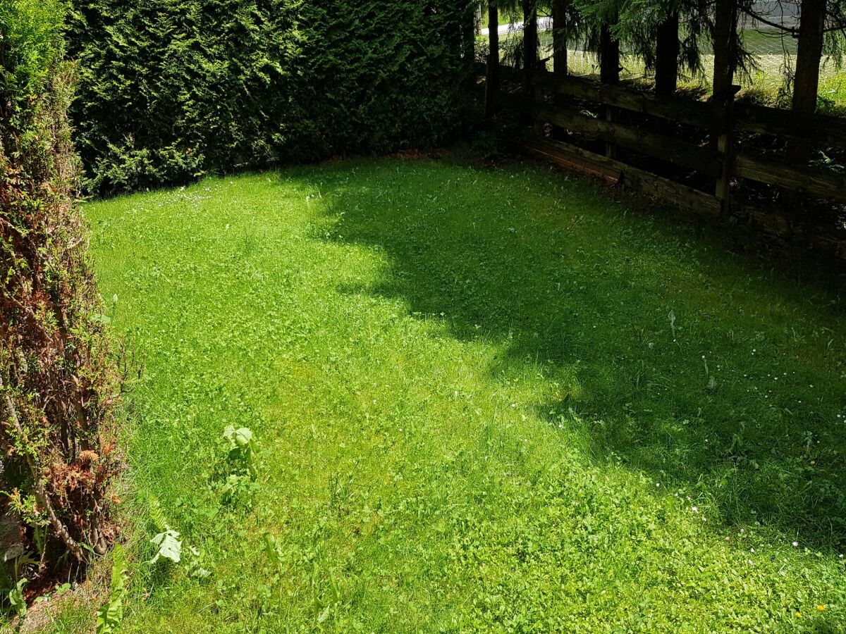 Apartment 2-Zimmer-Wohnung mit Garten - Outdoor photo 2