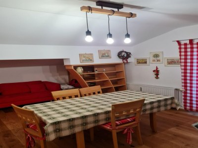 Apartment Apartment near St. Kathrein Thermal Spa - Features photo 7