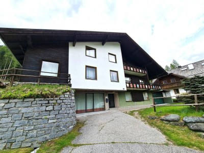 Apartment Apartment near Romerbad Thermal Spa in Bad Kleinkirchheim - Apartment