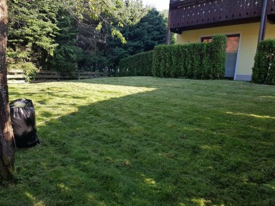 Apartment Apartment near Romerbad Thermal Spa - Outdoor photo 7