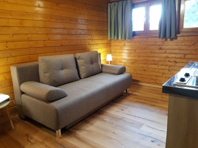 Apartment Apartment near Romerbad Thermal Spa - Features photo 8