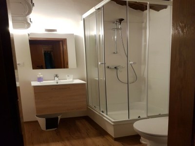 Apartment Apartment near Romerbad Thermal Spa - Features photo 9